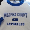 Sullivan County Catskills